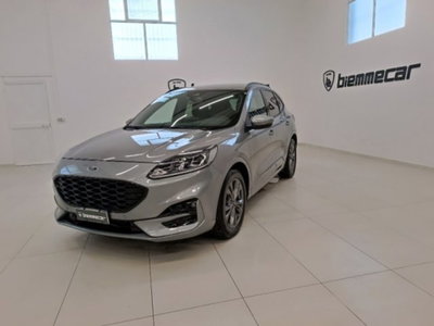 Ford Kuga 2.0 EcoBlue 120 CV aut. 2WD ST-Line X usata