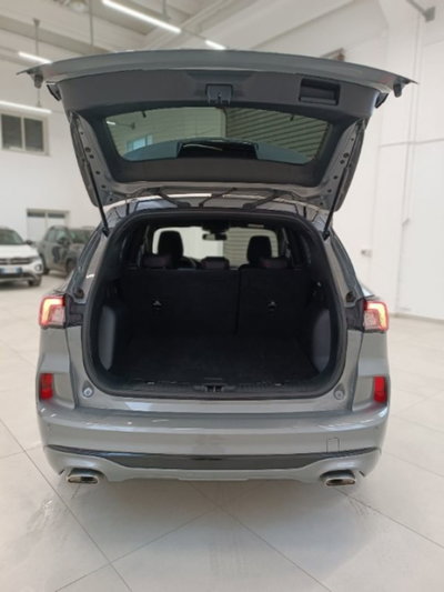 Ford Kuga 2.0 EcoBlue 120 CV aut. 2WD ST-Line X (10)