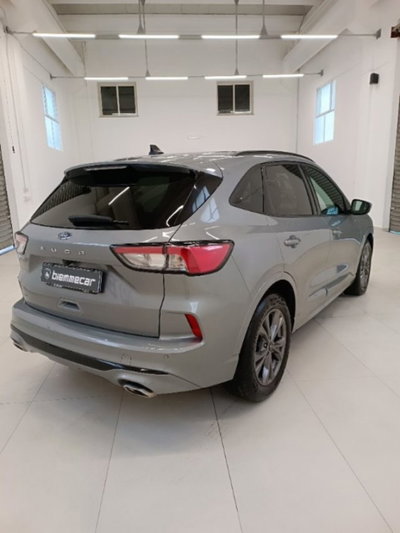 Ford Kuga 2.0 EcoBlue 120 CV aut. 2WD ST-Line X (5)
