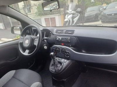 Fiat Panda 1.0 firefly hybrid s&s 70cv 5p.ti (10)