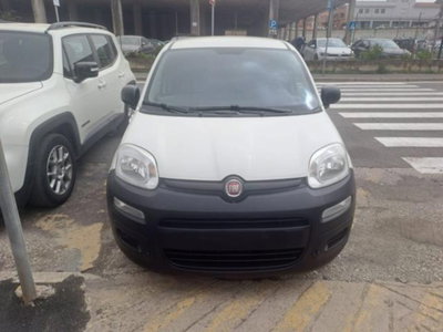 Fiat Panda 1.0 firefly hybrid s&s 70cv 5p.ti (2)