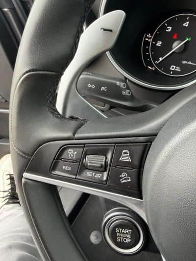 Alfa Romeo Stelvio Stelvio 2.2 Turbodiesel 210 CV AT8 Q4 Sport Edition (15)