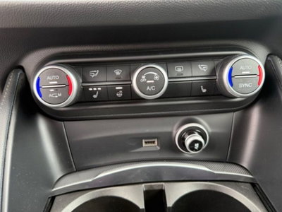 Alfa Romeo Stelvio Stelvio 2.2 Turbodiesel 210 CV AT8 Q4 Sport Edition (20)
