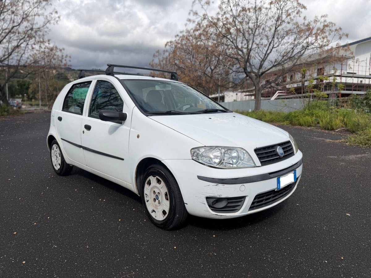 Fiat Punto 1.9 JTD 5 porte Active (3)
