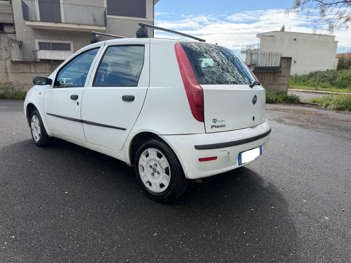 Fiat Punto 1.9 JTD 5 porte Active (7)