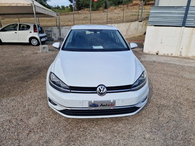 Volkswagen Golf 1.6 TDI 115 CV 5p. Business BlueMotion Technology (7)