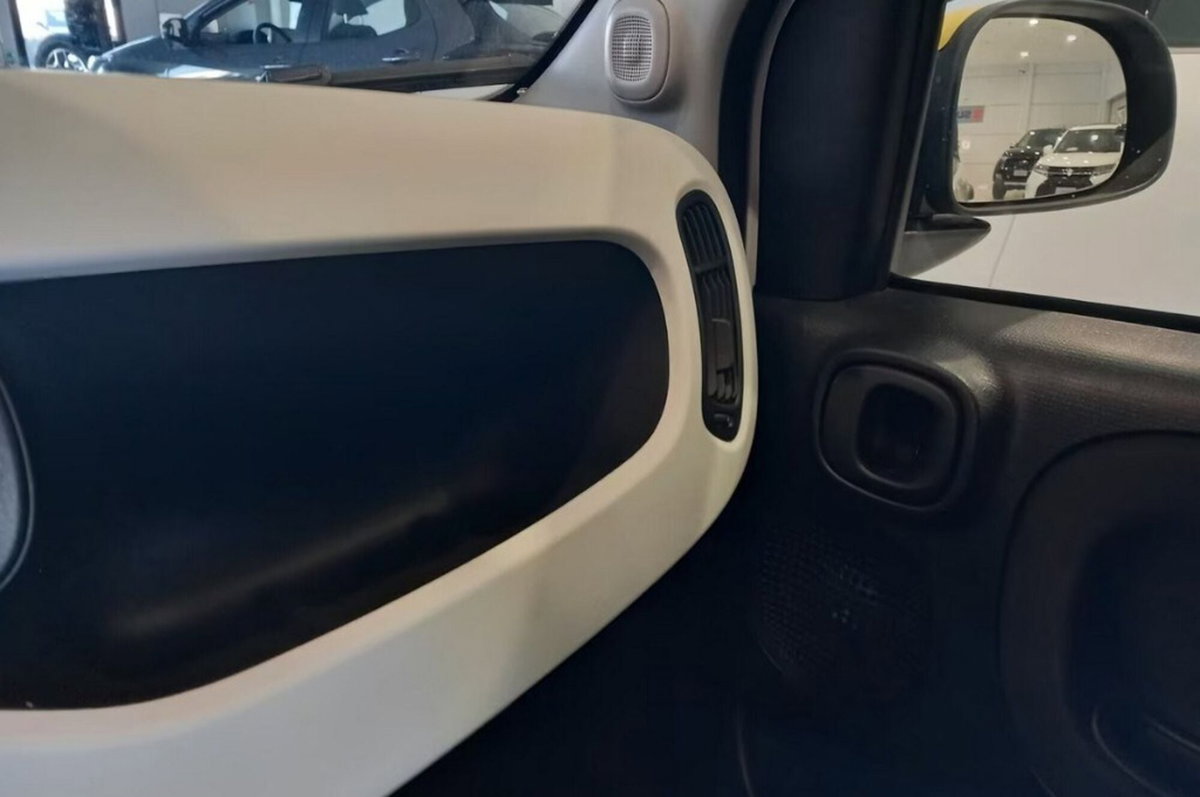 Fiat Panda Cross Cross 1.0 FireFly S&S Hybrid (12)