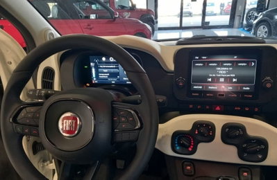 Fiat Panda Cross Cross 1.0 FireFly S&S Hybrid (14)