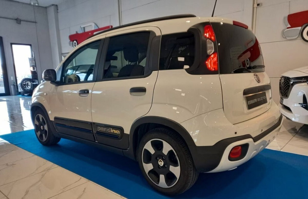 Fiat Panda Cross Cross 1.0 FireFly S&S Hybrid (2)