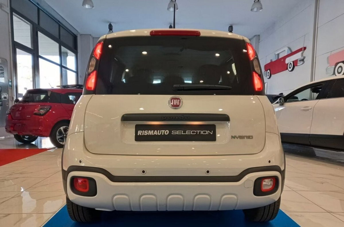 Fiat Panda Cross Cross 1.0 FireFly S&S Hybrid (3)