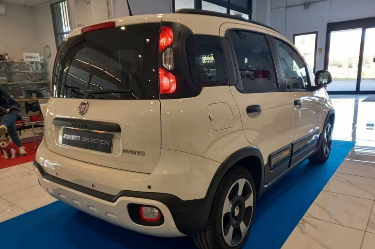 Fiat Panda Cross Cross 1.0 FireFly S&S Hybrid (4)