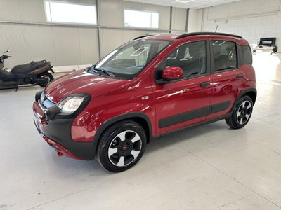Fiat Panda Cross Cross 1.0 FireFly S&S Hybrid usata
