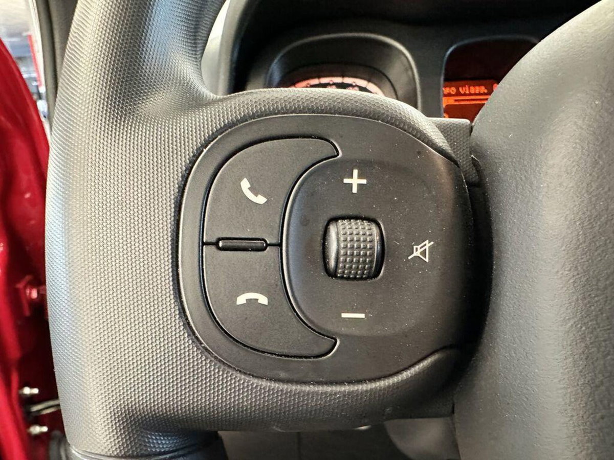 Fiat Panda Cross Cross 1.0 FireFly S&S Hybrid (9)