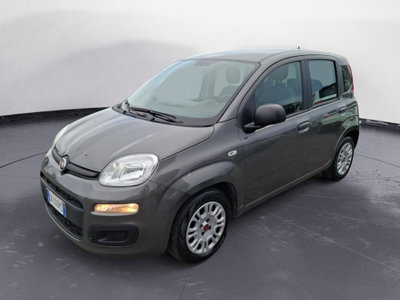 Fiat Panda Cross Cross 1.0 FireFly S&S Hybrid