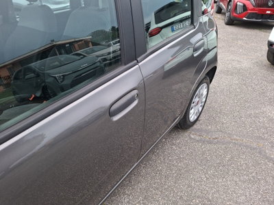 Fiat Panda Cross Cross 1.0 FireFly S&S Hybrid (10)