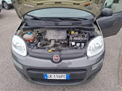 Fiat Panda Cross Cross 1.0 FireFly S&S Hybrid (11)