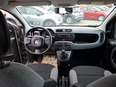 Fiat Panda Cross Cross 1.0 FireFly S&S Hybrid (15)