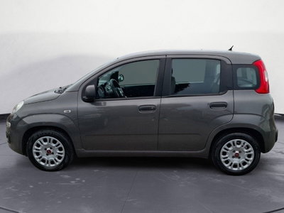 Fiat Panda Cross Cross 1.0 FireFly S&S Hybrid (2)