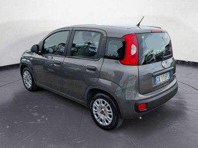 Fiat Panda Cross Cross 1.0 FireFly S&S Hybrid (3)