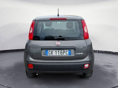 Fiat Panda Cross Cross 1.0 FireFly S&S Hybrid (4)