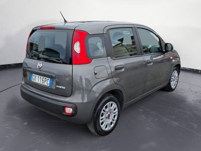 Fiat Panda Cross Cross 1.0 FireFly S&S Hybrid (5)