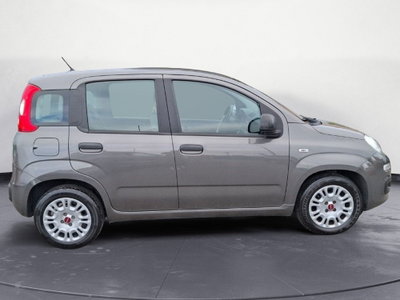 Fiat Panda Cross Cross 1.0 FireFly S&S Hybrid (6)