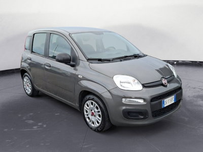 Fiat Panda Cross Cross 1.0 FireFly S&S Hybrid (7)