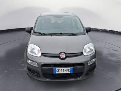 Fiat Panda Cross Cross 1.0 FireFly S&S Hybrid (8)