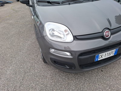 Fiat Panda Cross Cross 1.0 FireFly S&S Hybrid (9)