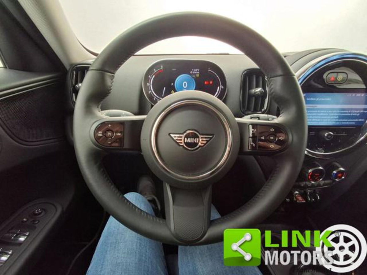 MINI Mini Countryman 2.0 Cooper D Untamed Edition Countryman (6)