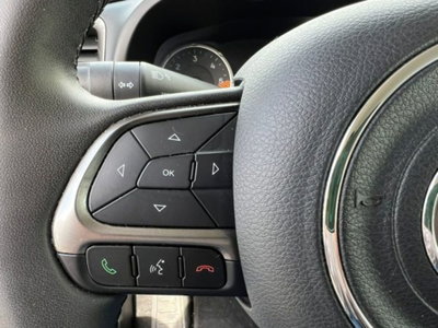 Jeep Renegade 1.6 Mjt 130 CV Limited (16)