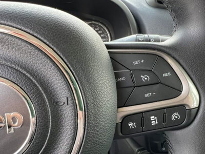 Jeep Renegade 1.6 Mjt 130 CV Limited (17)