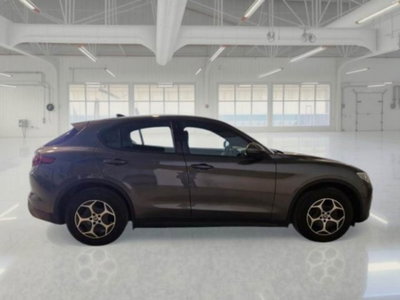 Alfa Romeo Stelvio Stelvio 2.2 Turbodiesel 190 CV AT8 Q4 Super Business (6)