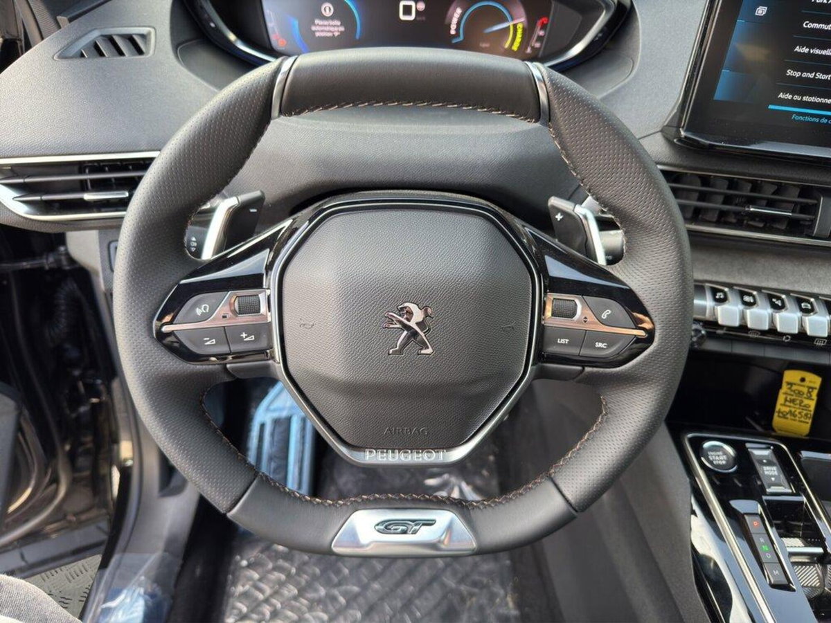 Peugeot 3008 73 kWh GT (10)