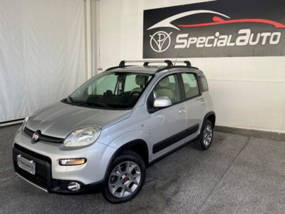 Fiat Panda 1.3 MJT S&S 4x4 (8)