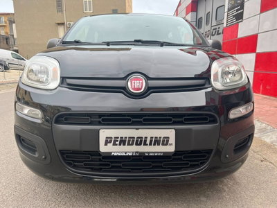 Fiat Panda 1.2 Young usata