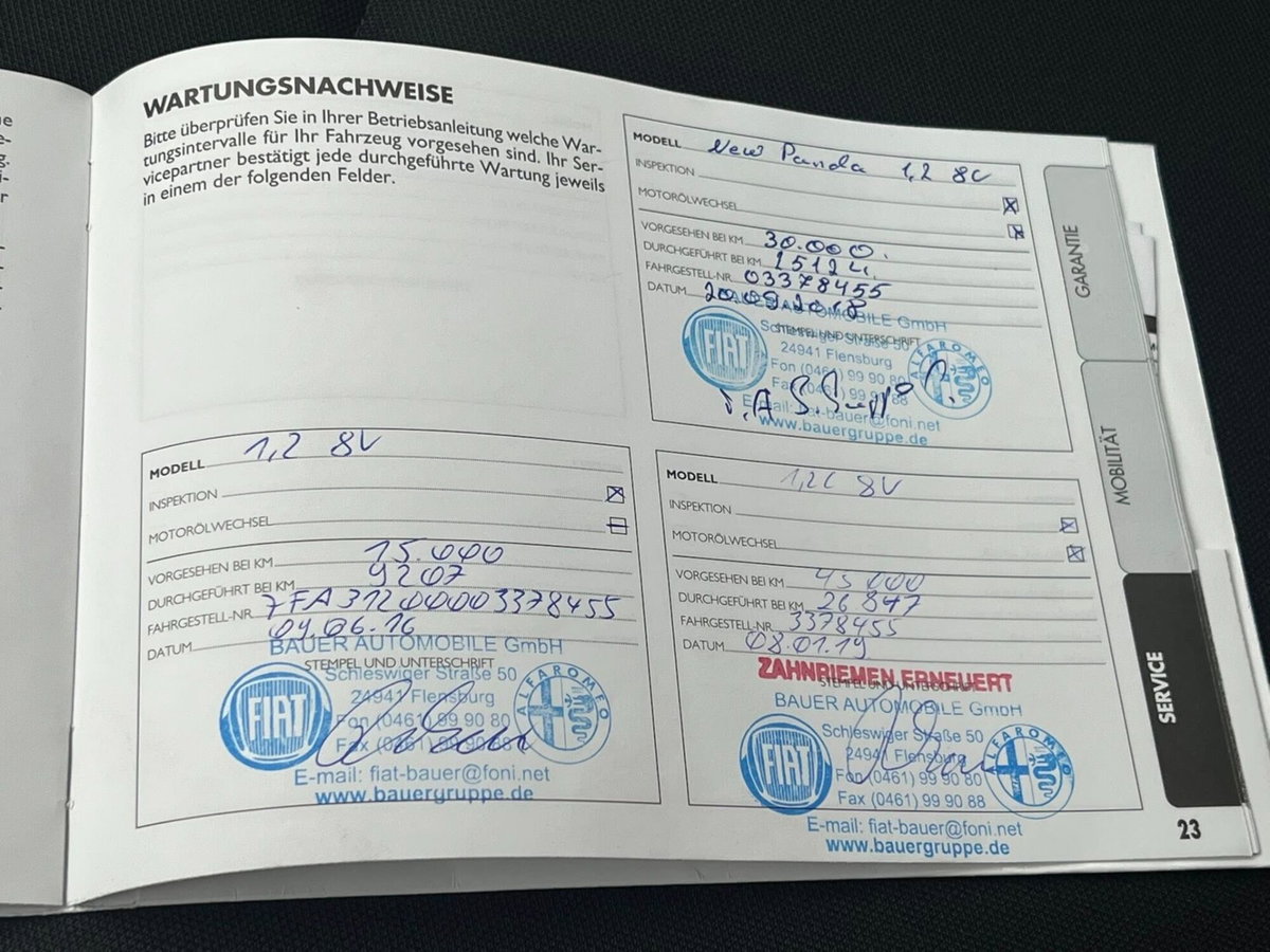 Fiat Panda 1.2 Young (19)