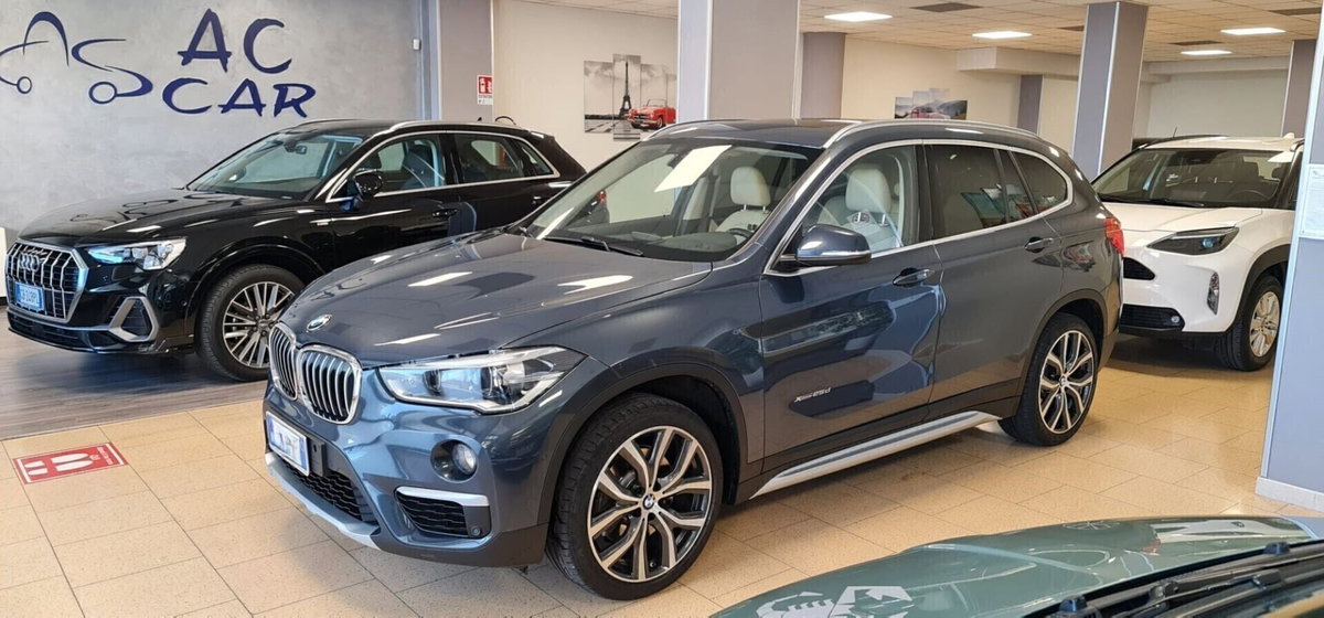 BMW X1 xDrive25d xLine (2)