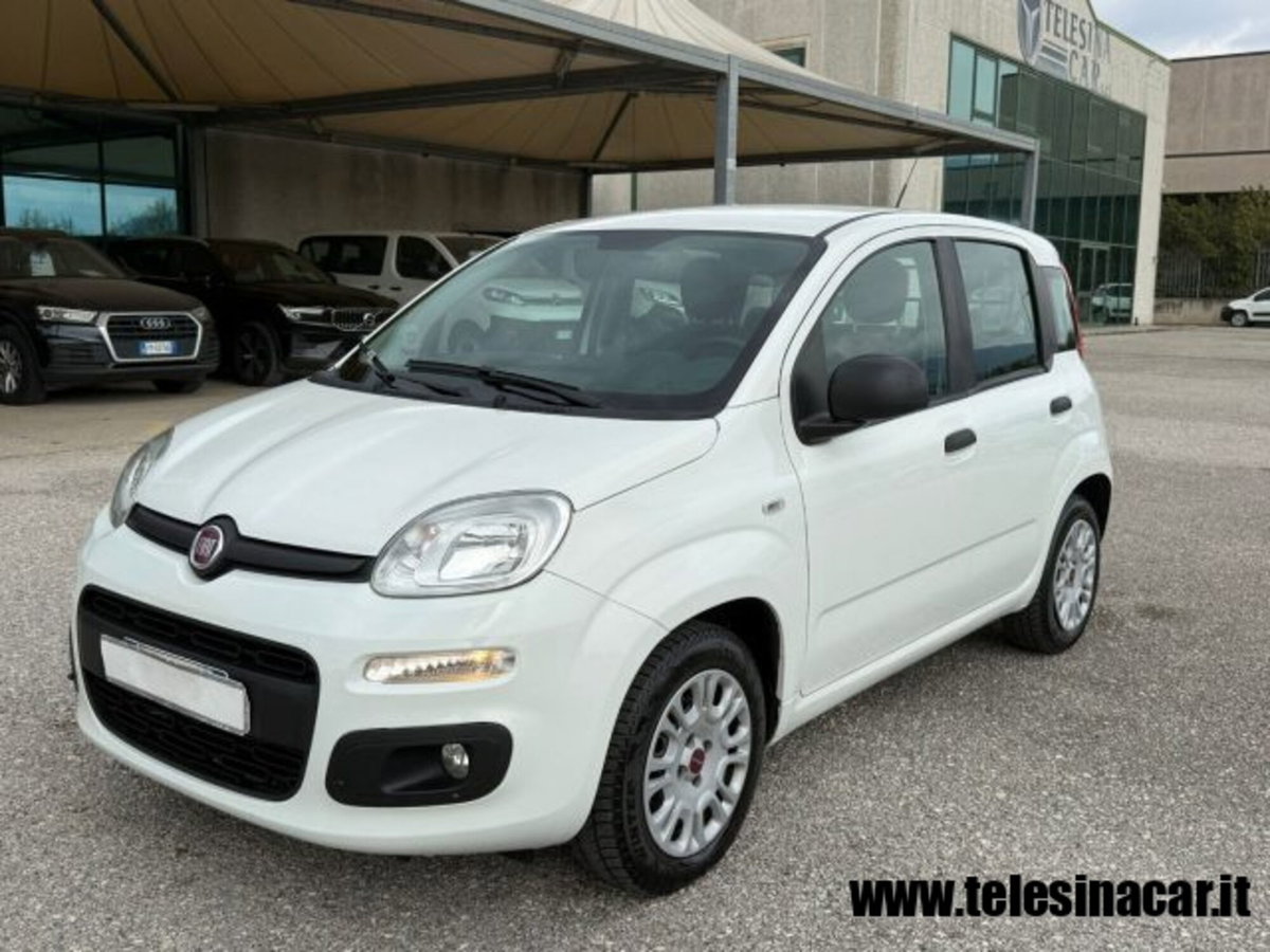 Fiat Panda 1.3 MJT S&S Easy Van 4 posti (2)