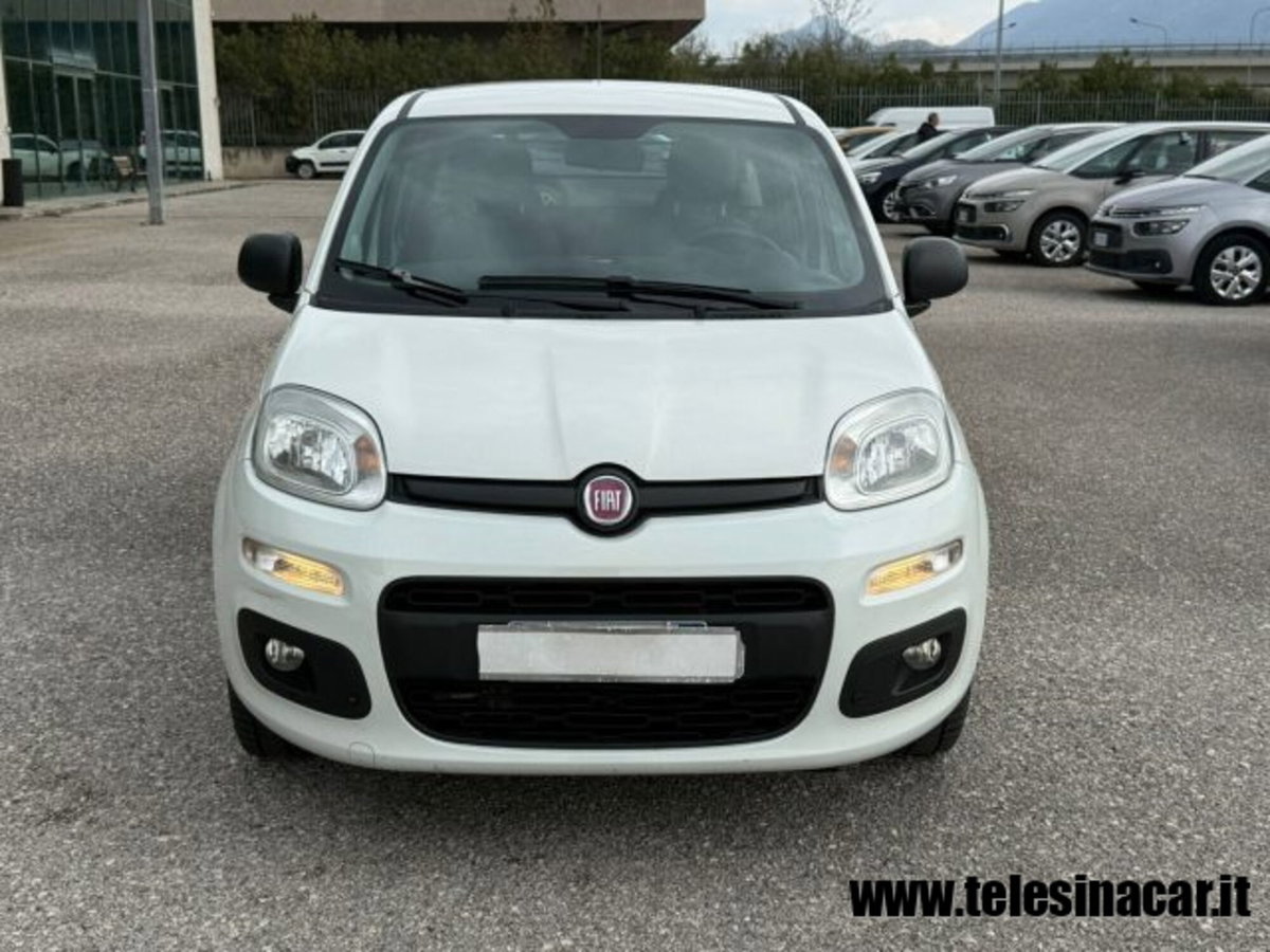 Fiat Panda 1.3 MJT S&S Easy Van 4 posti (3)