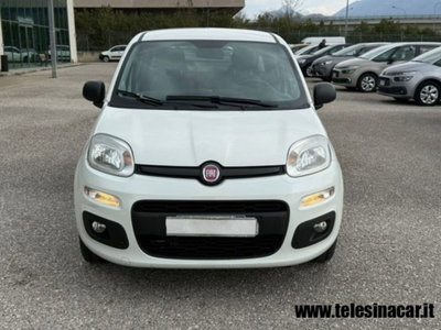 Fiat Panda 1.3 MJT S&S Easy Van 4 posti (3)
