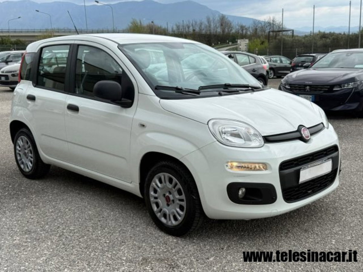 Fiat Panda 1.3 MJT S&S Easy Van 4 posti (4)