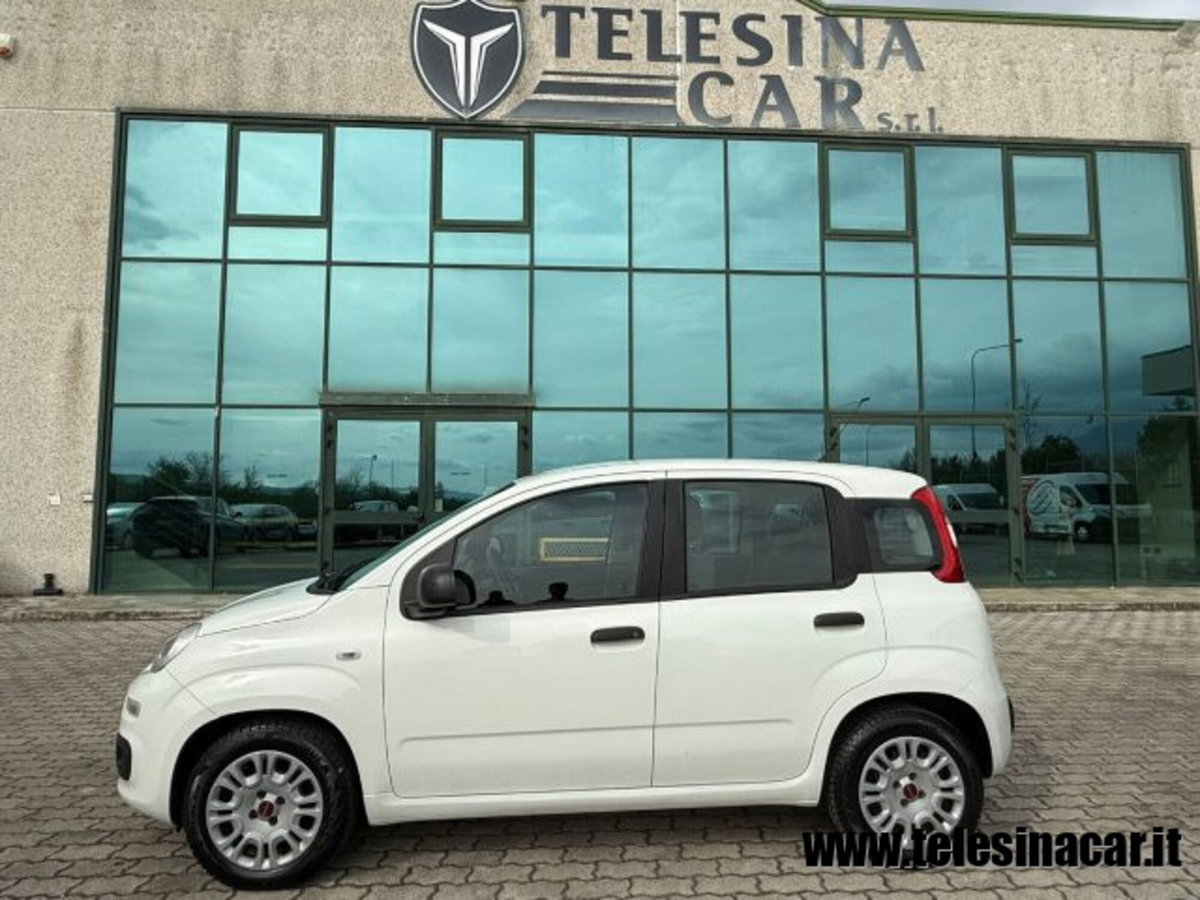Fiat Panda 1.3 MJT S&S Easy Van 4 posti (5)