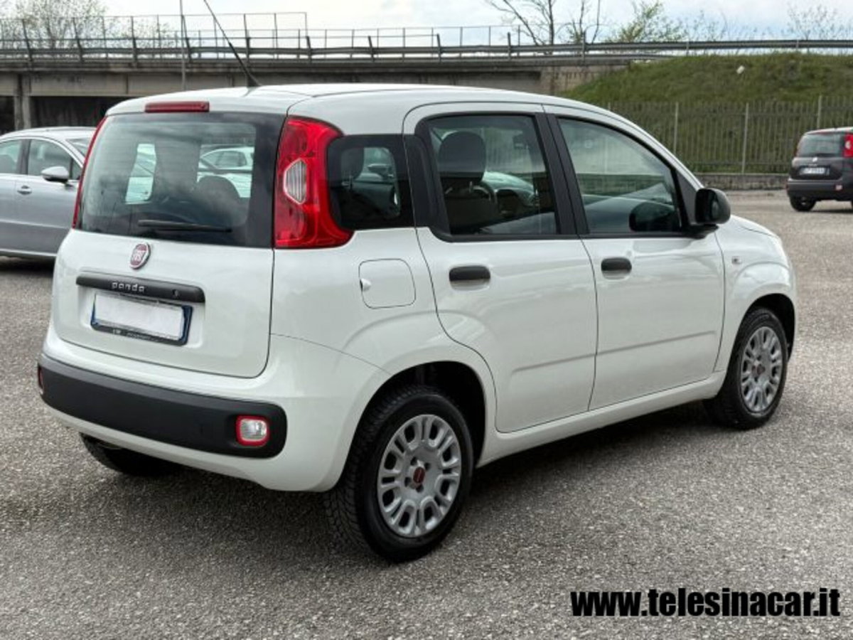 Fiat Panda 1.3 MJT S&S Easy Van 4 posti (6)