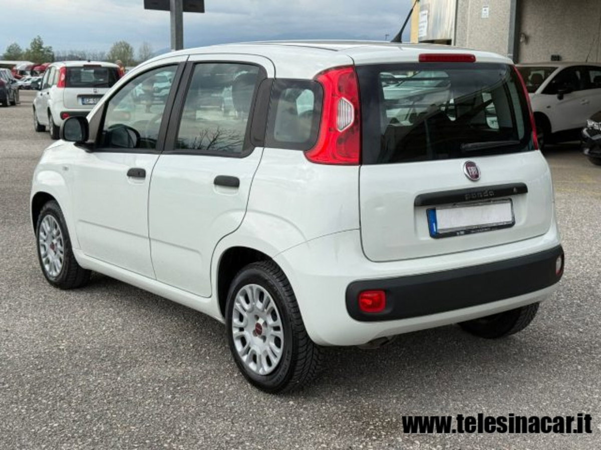 Fiat Panda 1.3 MJT S&S Easy Van 4 posti (8)