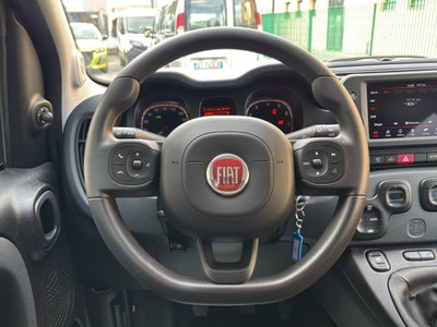 Fiat Panda Cross Cross 1.0 FireFly S&S Hybrid (14)