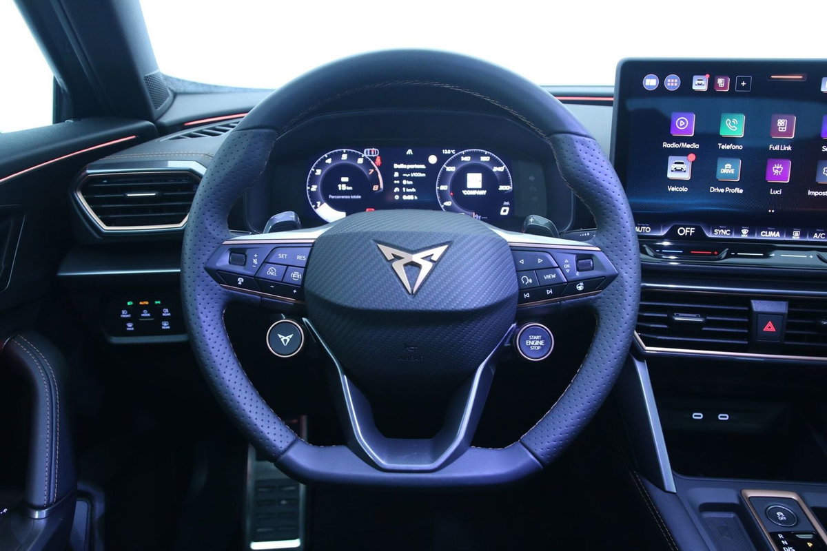 Cupra Formentor Formentor 1.5 TSI (10)