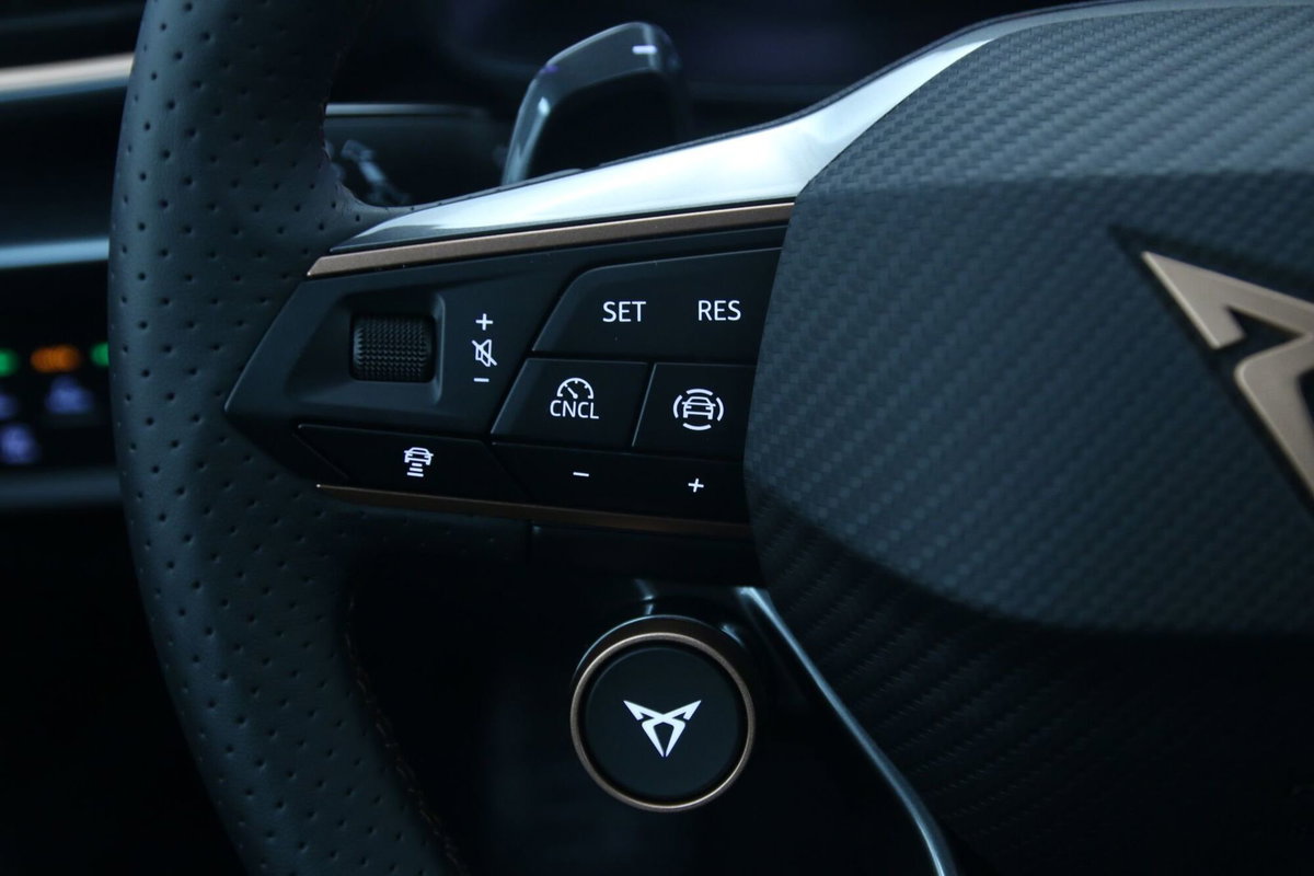 Cupra Formentor Formentor 1.5 TSI (19)