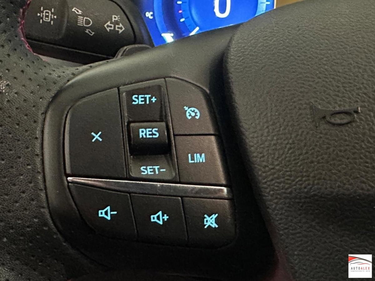 Ford Kuga 2.0 EcoBlue 120 CV aut. 2WD ST-Line X (17)