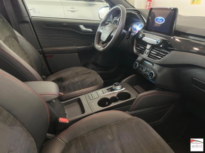 Ford Kuga 2.0 EcoBlue 120 CV aut. 2WD ST-Line X (19)